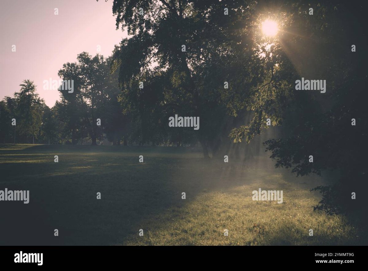 Understanding 220V Generators Explore Their Types, Benefits, and Uses Today